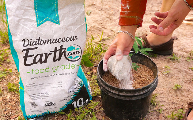 Sprinkle Diatomaceous Earth on Your Soil