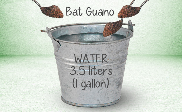bat guano for weed