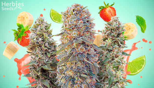 top fruity cannabis strains