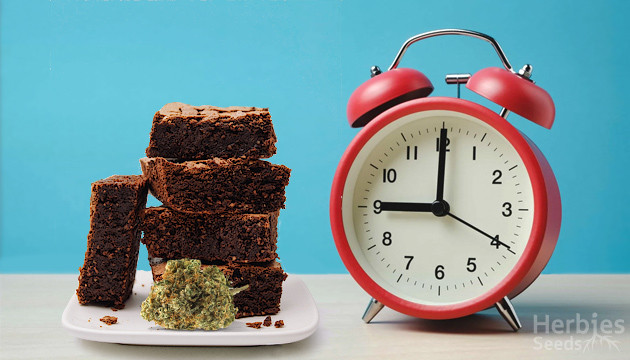 how long do the effects of edibles last