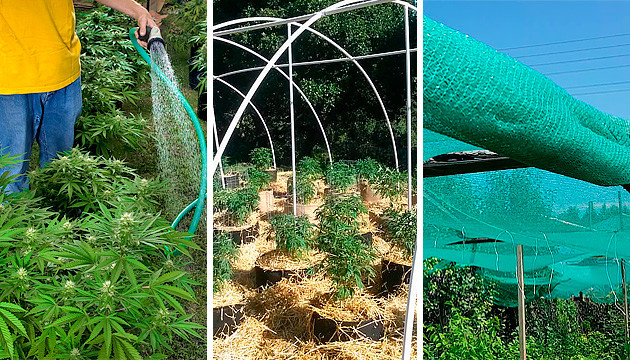 how to protect your outdoor grow from hard rains
