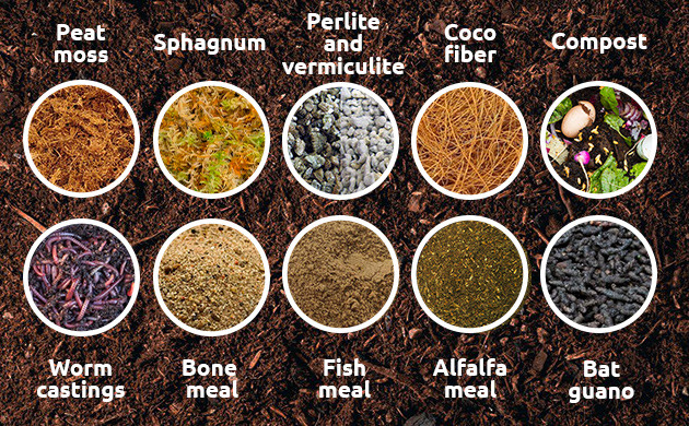 what is living soil made of
