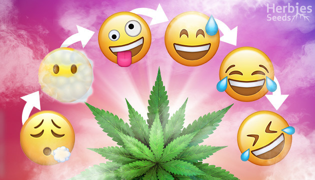 weed strains that make you laugh