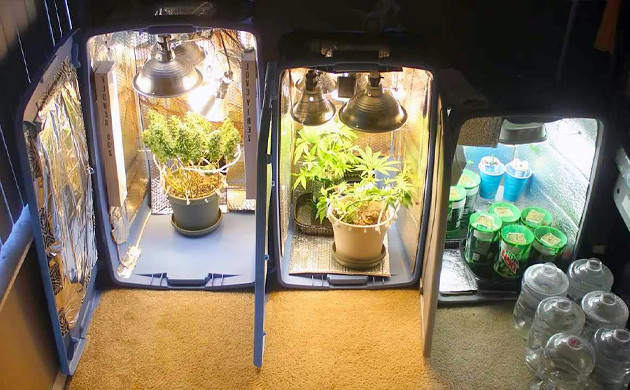 everything needed for your small cannabis grow
