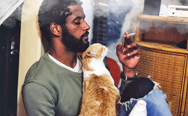 Secondhand weed smoke and pets