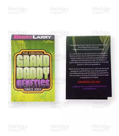 Berry Larry regular seeds