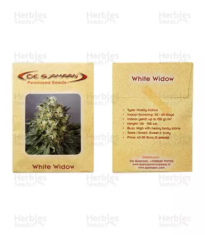 White Widow feminized seeds (De Sjamaan Seeds)