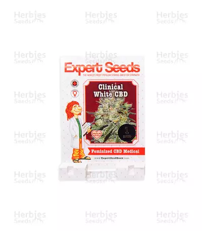 Clinical White CBD (Expert Seeds) feminized seeds
