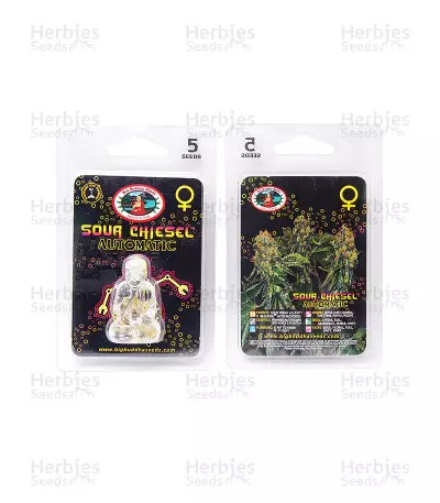 Sour Chiesel Automatic feminized seeds