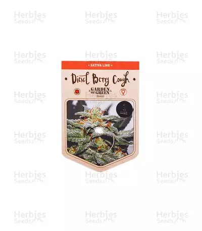 Diesel Berry Cough feminized seeds